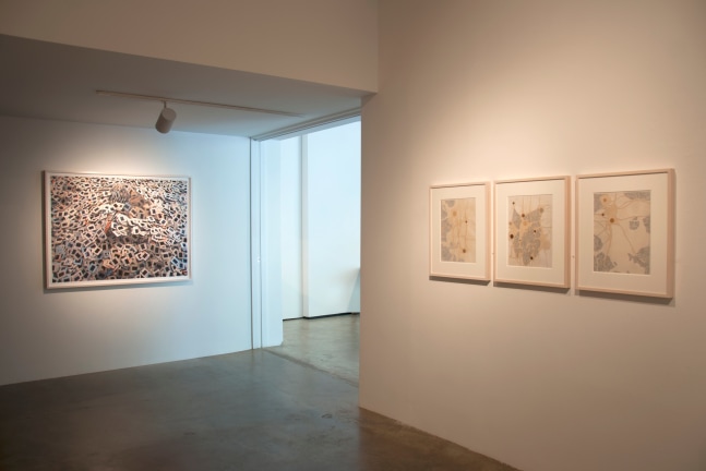 Group Exhibition of Gallery Artists
Installation View
Moody Gallery
February 25 - April 1, 2017