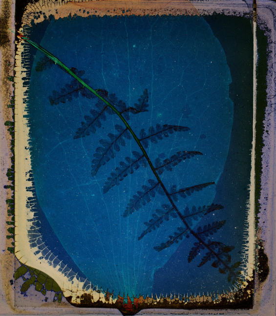 Dornith Doherty Night Shift, 2025 archival pigment print, ed: 5 27 1/2" x 24" DD 75