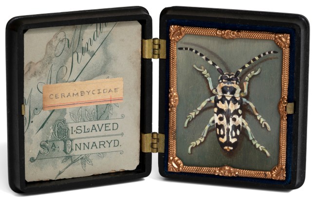 Ellen Tanner Long Horn Beetle, 2024 oil on panel, Thermoplastic union case 2 1/2" x 2" painting; 3" x 5" open ET 59