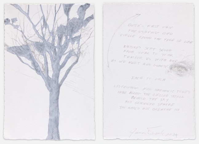 James Drake, Birth's First Gasp, 2024 silverpoint, collage, ink on gessoed paper 11 3/8'' x 7 5/8'' JD 394, Moody Gallery