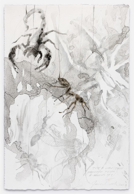 James Drake Hanging from a Mangled Sky, 2024 silverpoint, ink on gessoed paper 22 3/4" x 15 1/4" JD 382, Moody Gallery