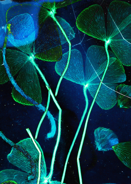 Dornith Doherty Before Midnight, 2025 archival pigment print, ed: 5 33 1/2" x 24" DD 67