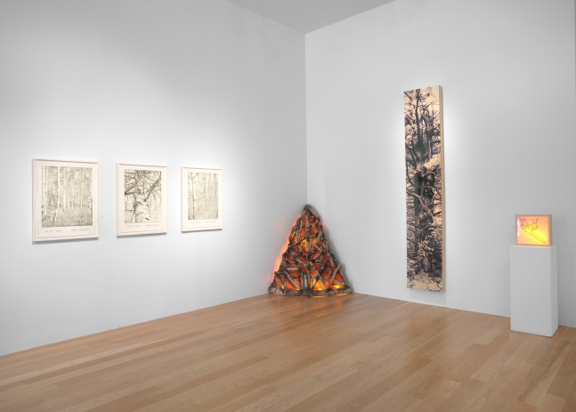 50th Anniversary Exhibition, Part I
Installation View, Moody Gallery
September 13 - October 25, 2025