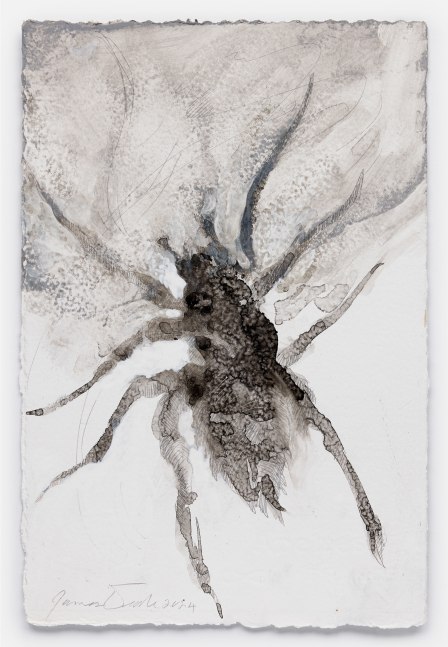 James Drake Untitled, 2024 silverpoint, ink on gessoed paper 11 1/2" x 7 3/4" JD 366, Moody Gallery
