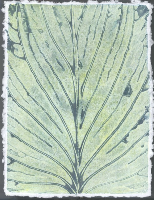 Liz Ward Specimen Days, 5, 2020 watercolor on paper 12 1/4" x 9” LW 275 Moody Gallery