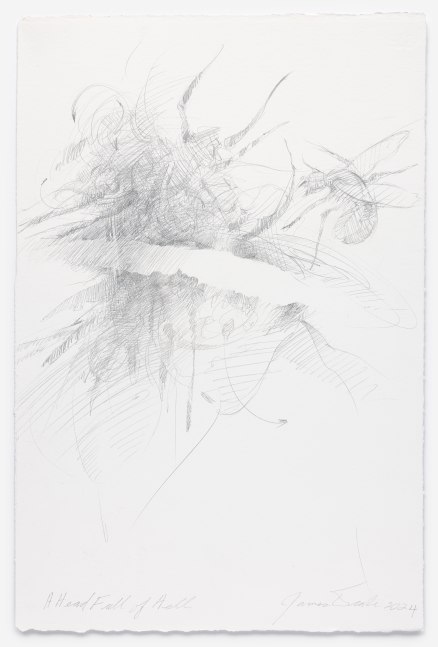 James Drake A Head Full of Hell, 2024 silverpoint on gessoed paper 22 3/4" x 15" JD 360, Moody Gallery