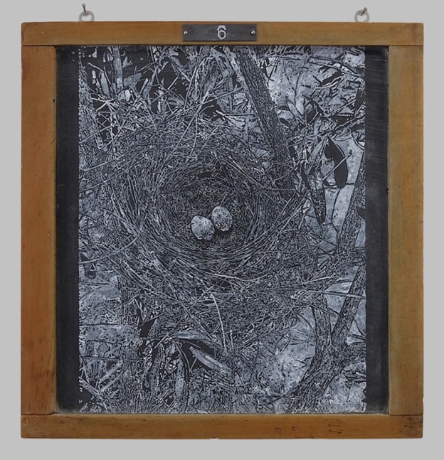 Helen Altman Nest 6, 2019 acrylic on slate chalkboard, lead 14" x 13 1/4" x 5/8" HA 753, Moody Gallery