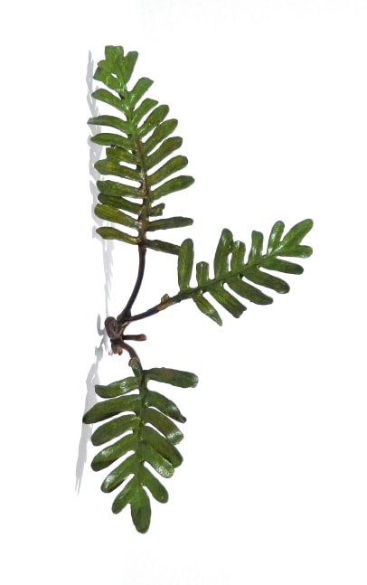 Page Kempner Corner Fern, 2007 cast bronze and acrylic paint, unique 5 3/4" x 3" x 2 3/4" PK 330 Moody Gallery