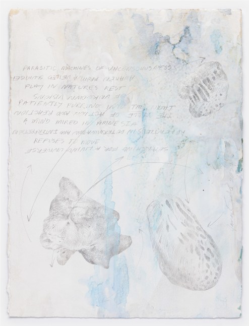 James Drake Parasitic Machines, 2024 silverpoint, ink on gessoed paper 15 1/4" x 11 1/2" JD 371, Moody Gallery