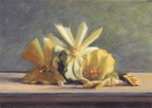 Jean Carruthers Wetta Cactus Flowers, 2014 oil on multi-media board 5" x 7" JCW 44 Moody Gallery