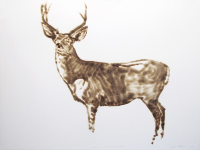 Helen Altman Mule Deer (head up), 2015 torch drawing on paper 22 1/2" x 30" HA 588 Moody Gallery