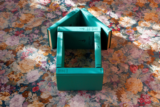 MANUAL (Hill & Bloom) Field Guide House, 2010 archival pigment print, ed: 5 16" x 21 1/2" M 464 Moody Gallery