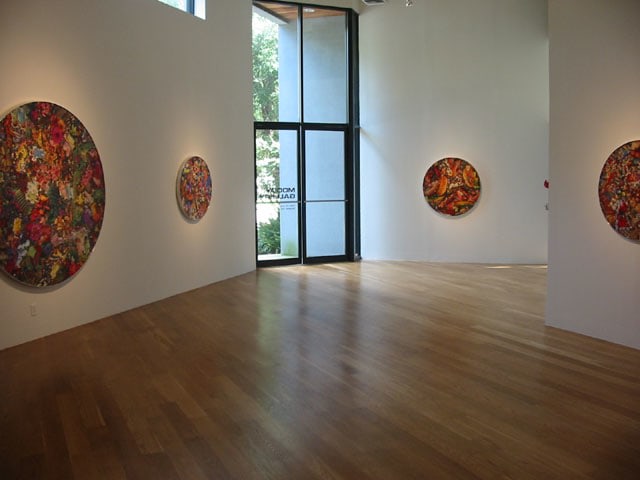 Al Souza
New Work, Installation View
Moody Gallery
2004