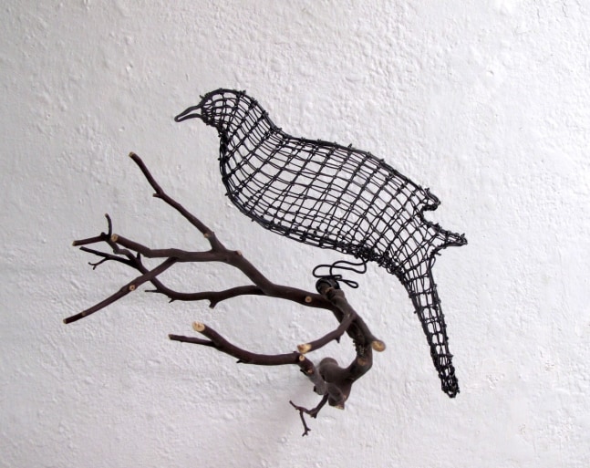 Helen Altman Dove, 2022 wire, Manzanita branch 9" x 10" x 13" HA 801 Moody Gallery