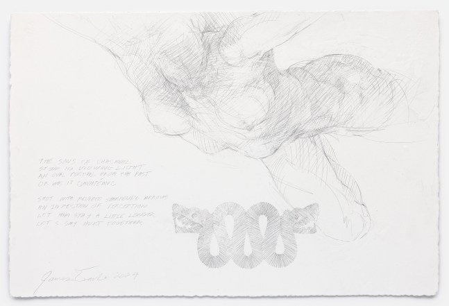 James Drake The Sins of Chacmool, 2024 silverpoint on gessoed paper 15" x 22 3/4" JD 359, Moody Gallery