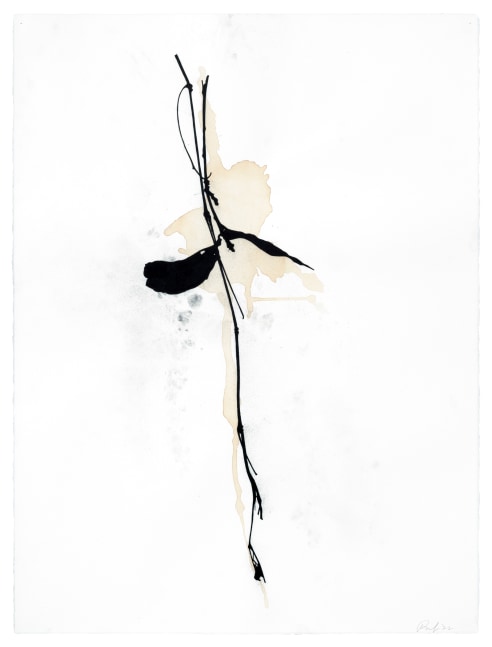 Randy Twaddle Vine #9, 2022 charcoal and coffee on paper 30" x 22 1/2" RT 439
