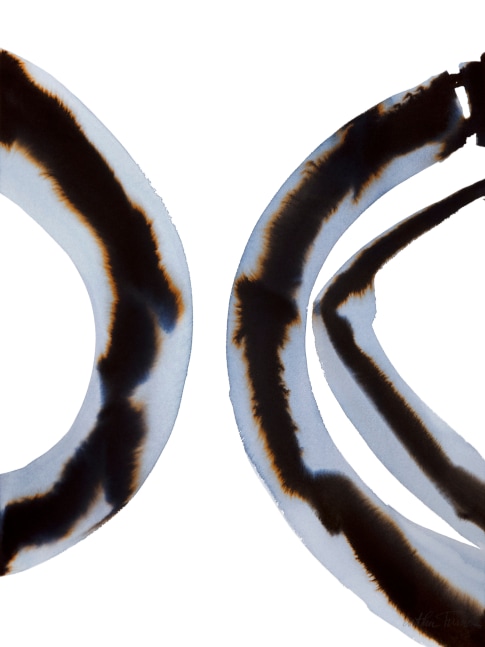 Arthur Turner Roundel Series #40, 2010 watercolor and ink on paper 24" x 18" AT 1583 Moody Gallery