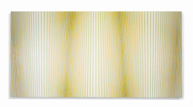 Jay Shinn Cellulose Tapestry 2, 2023 acrylic on canvas 36" x 72" x 2 1/2" JS 52 Moody Gallery
