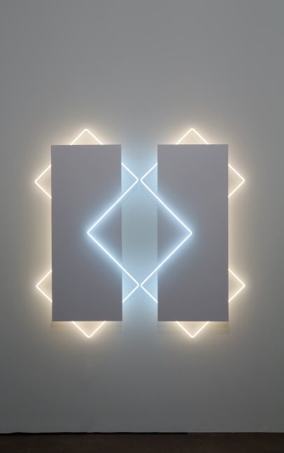 Jay Shinn Twin Zest, 2016 neon and sintra 62" x 66" x 4" Moody Gallery