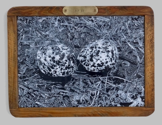 Helen Altman Nest 59, 2020 vintage slate chalkboard, acrylic and brass label 8 3/4" x 11 1/2" HA 776 Moody Gallery