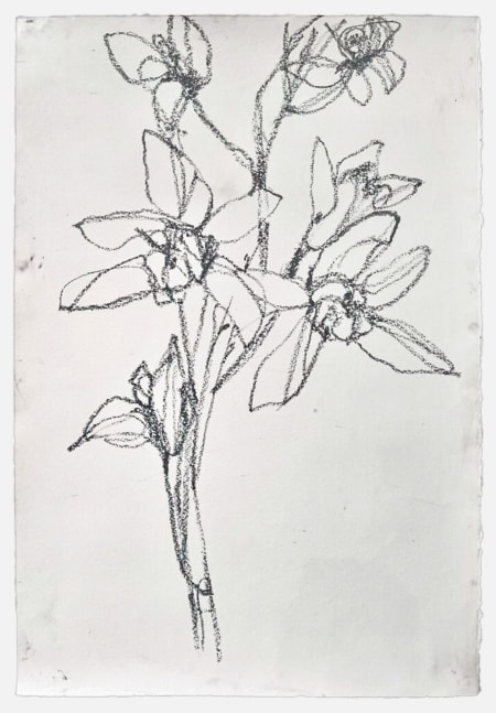 Andrea Rosenberg Untitled, 2022 mixed media on paper 44" x 30", Moody Gallery