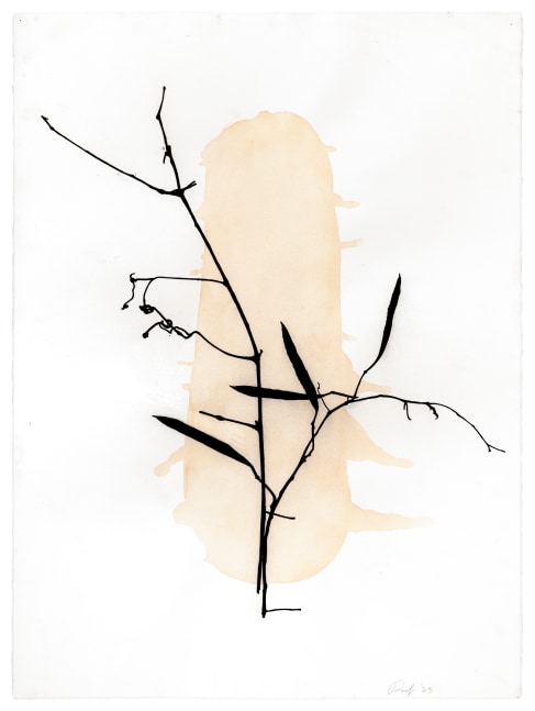 Randy Twaddle Arrangement #10, 2023 charcoal and coffee on paper 30" x 22 1/4" RT 467