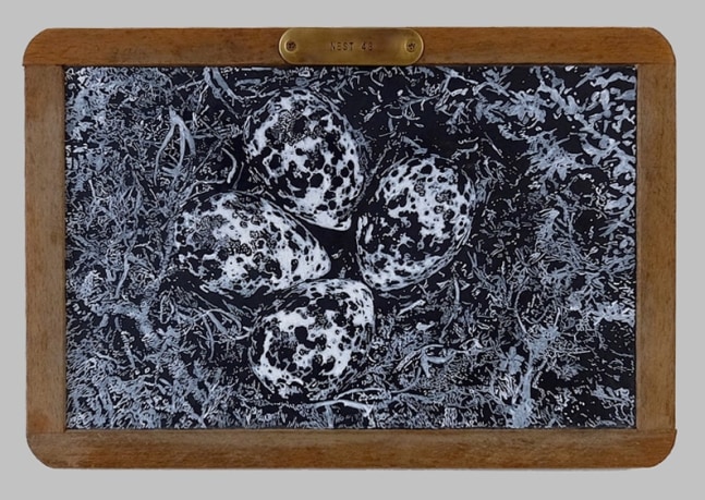 Helen Altman Nest 48 2020 acrylic on vintage slate chalkboard 8 1/2" x 12 1/2" HA 778 Moody Gallery