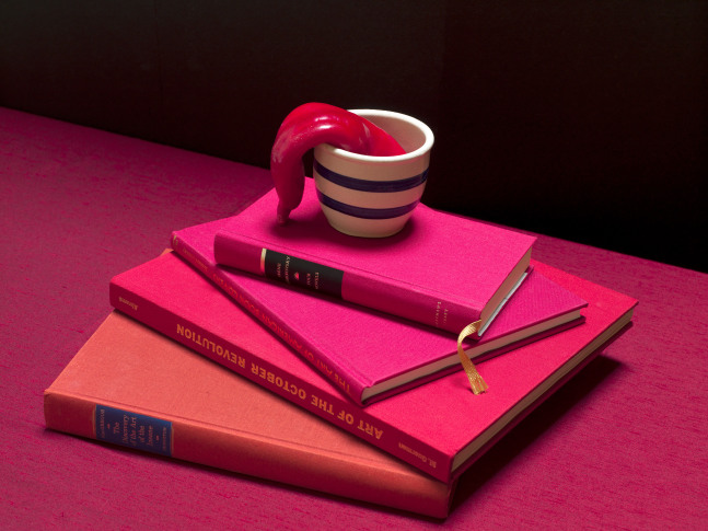 MANUAL (Hill & Bloom) Four Novel + Others, 2014 archival pigment print, ed: 5 17" x 23" M 566 Moody Gallery