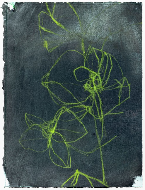 Andrea Rosenberg Untitled 48, 2021 mixed media on paper 10 3/4" x 8" AR 104 Moody Gallery
