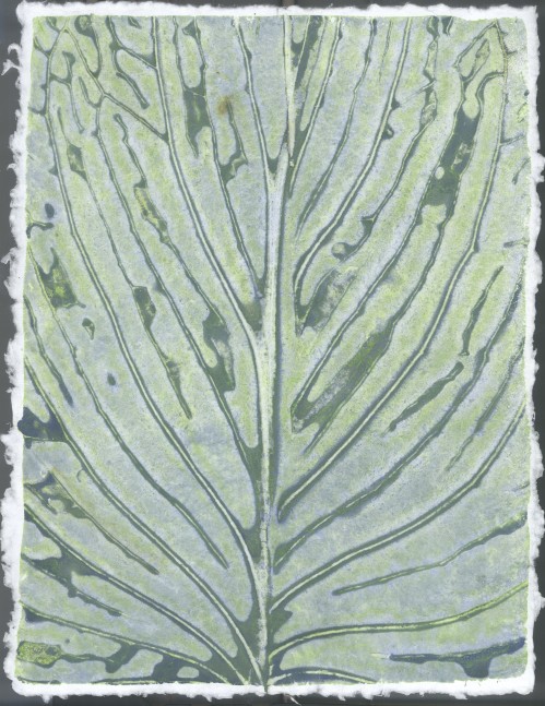 Liz Ward Specimen Days, 8, 2020 watercolor on paper 12 1/4" x 9” LW 278 Moody Gallery