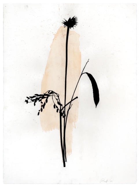 Randy Twaddle Arrangement #4, 2023 charcoal and coffee on paper 30" x 22 1/4" RT 461
