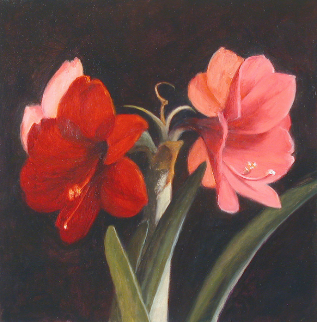 Jean Carruthers Wetta Amaryllis V, 2008 oil on paper 10" x 10" JCW 4 Moody Gallery