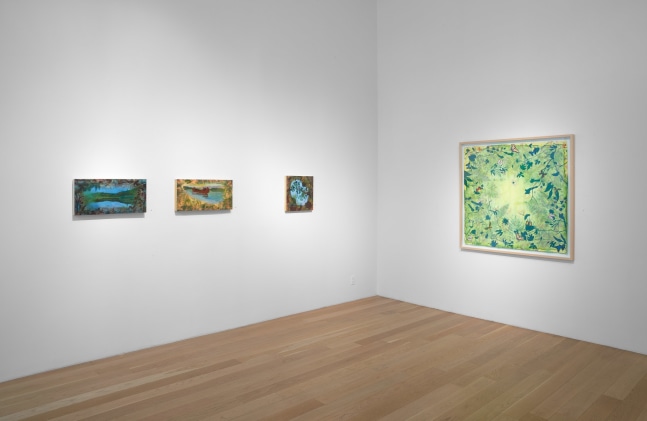 Liz Ward Earth's Eye, Installation View Moody Gallery May 10 - June 21, 2025