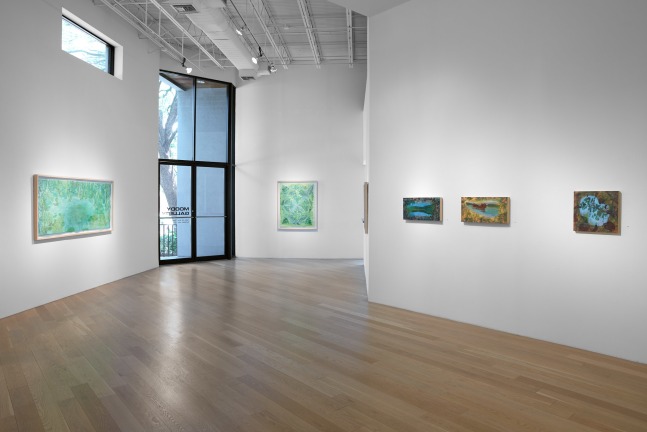 Liz Ward Earth's Eye, Installation View Moody Gallery May 10 - June 21, 2025