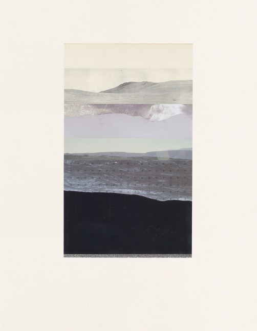 Bethany Johnson We Live on a Planet: Untitled, 2019 collage on paper 19 1/2" x 15" BJ 115 Moody Gallery