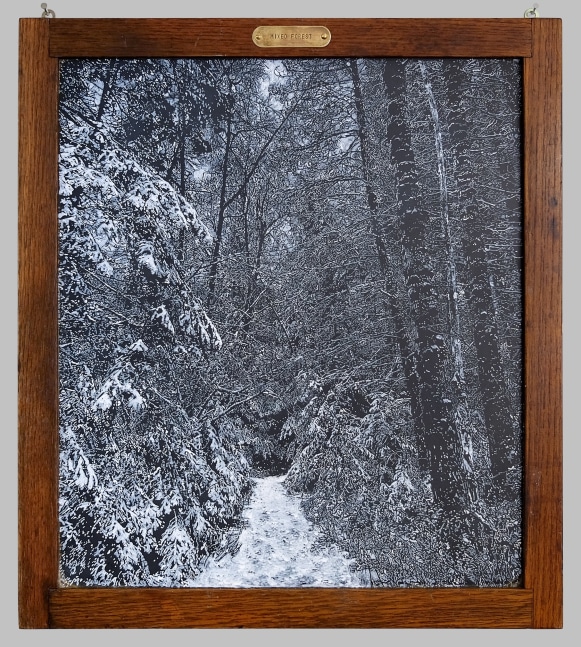 Helen Altman
Mixed Forest, 2023
acrylic on vintage slate chalkboard, brass tag
21 1/2" x 19"
HA 835