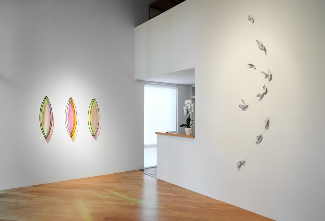 50th Anniversary Exhibition, Part II
Installation View, Moody Gallery
November 8 - December 23, 2025