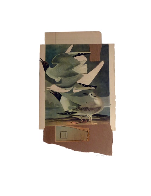 Jerry Jeanmard Untitled, 2011 collage on paper 24" x 19" JJ 51 Moody Gallery