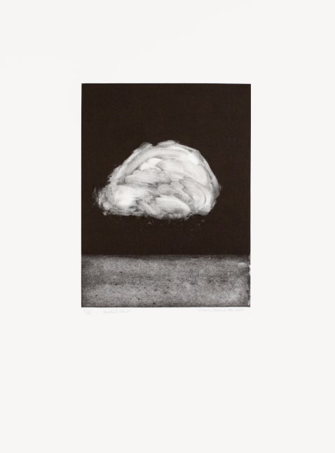 Central Cloud I,&amp;nbsp;1999

Monotype on Somerset Velvet

30 x 22 in. (76.2 x 55.9 cm)

Published by Goya Contemporary / Goya-Girl Press

STR-0107-CO