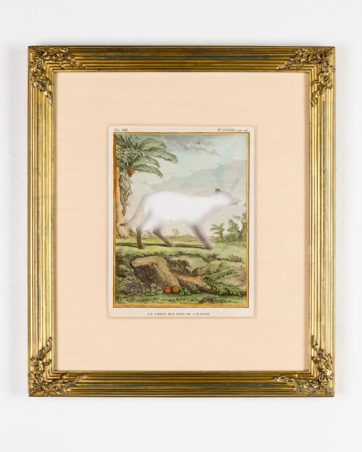 RIP Arawak Forest Dog: After Jacques de Sève, 1771/2015
Artist cut and burnt hand colored copper etching, etched glass funerary urn and ashes
9.5 x 7 in. (24.13 x 17.78 cm)
Ball-1016-O