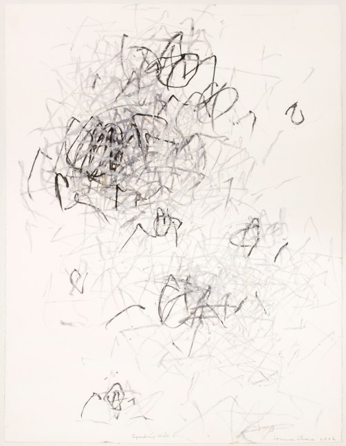 Untitled (Spiders), 2002 
Oil Stick on Paper
22 1/2 x 30 1/4 in. (57.15 x 76.84 cm)
CHA-0443-C