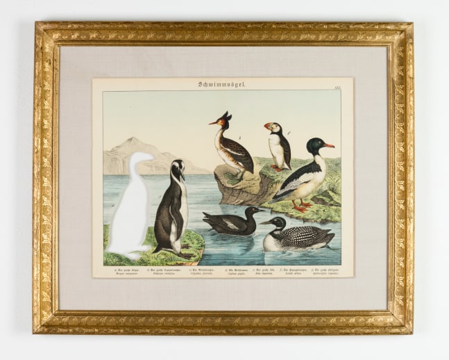 RIP Great Auk: After Gotthilf Heinrich von Schubert, 1886 -&amp;nbsp;2015
Artist cut and burnt chromolithograph, etched glass funerary urn and ashes
12 3/4 x 16 1/2 in. (32.38 x 41.91 cm)
Ball-1001-O