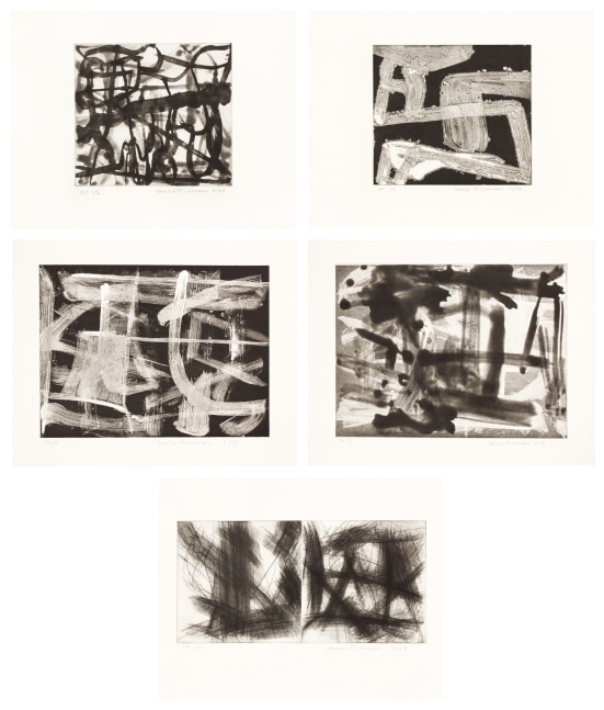 Louise Fishman

Black and White Suite #1-5,&amp;nbsp;2005

Set of five etchings with aquatint, drypoint, spitbite and whiteground on Copperplate etching paper with original folio

Each print:&amp;nbsp;14 x 18 in. (35.6 x 45.7 cm)

E.P. 1/2 from an edition of 15

SOLD