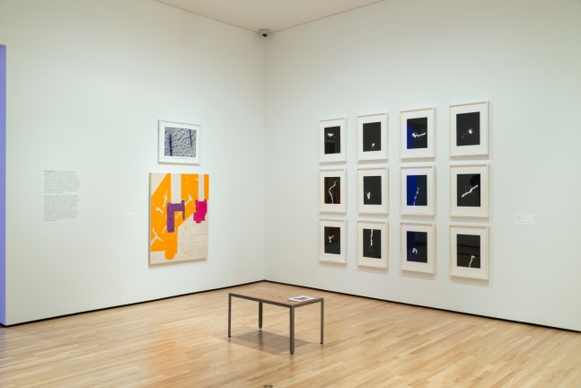 Installation of&amp;nbsp;Jo Smail:&amp;nbsp;Flying with Remnant Wings&amp;nbsp;at The Baltimore Museum of Art, Baltimore MD.&amp;nbsp;
Photography&amp;nbsp;by Mitro Hood