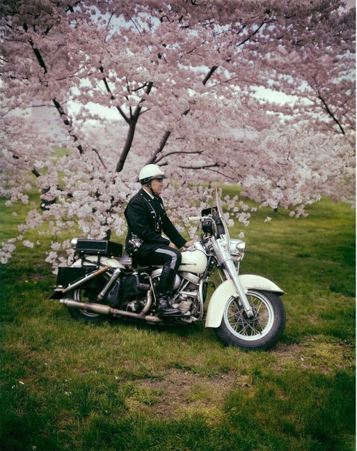 Springtime -&amp;nbsp;Washington DC,&amp;nbsp;1965

Vintage color dye transfer print

20 x 16 in. (50.8 x 40.6 cm)

Collection of Baltimore Museum of Art, MD