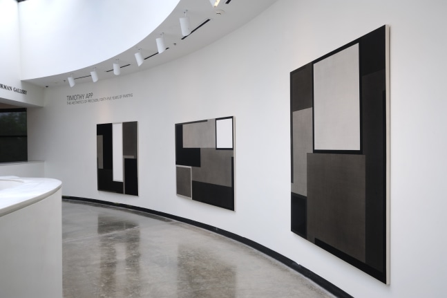 Timothy App:&amp;nbsp;The Aesthetics of Precision: Forty-Five Years of Painting at the American University Museum, Katzen Art Center, Washington, DC