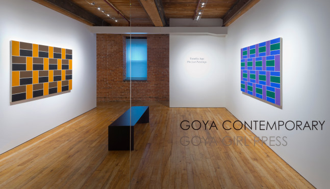 Timothy App: The Lost Paintings&amp;nbsp;at Goya Contemporary, Baltimore, MD.