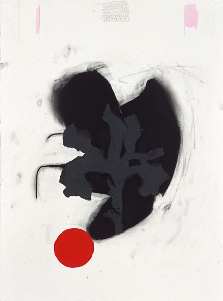 Species of Love #5, 2007

Charcoal and ink on paper

30 x 22 in. (76.2 x 55.9 cm)

Smai-1054-C