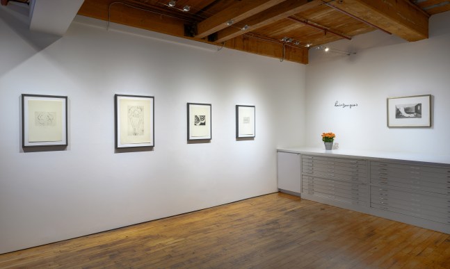 Louise Bourgeois: Anatomy&amp;nbsp;at Goya Contemporary, Baltimore, MD.