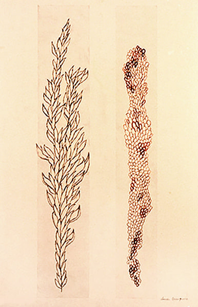 Eccentric Growth IV, 2006
Etching, ink, pencil on paper
58 x 38 1/2 in. (147.3 x 97.8 cm)
From a series of 6 unique pieces
Bour-0019-O-OS